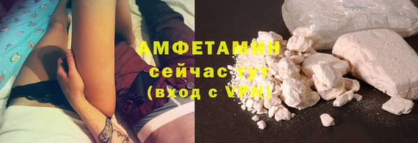 сатива Иннополис