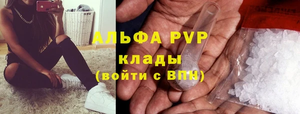 сатива Иннополис