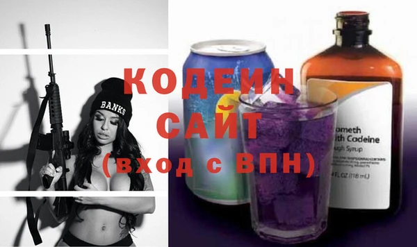 сатива Иннополис