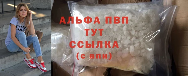 стафф Инта