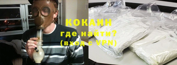сатива Инсар
