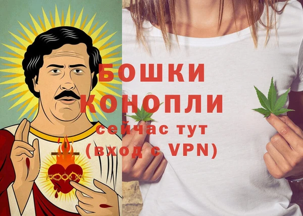 сатива Иннополис
