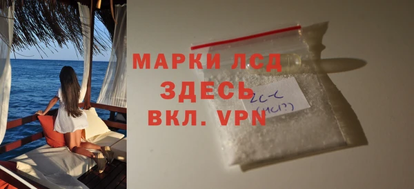 сатива Инсар
