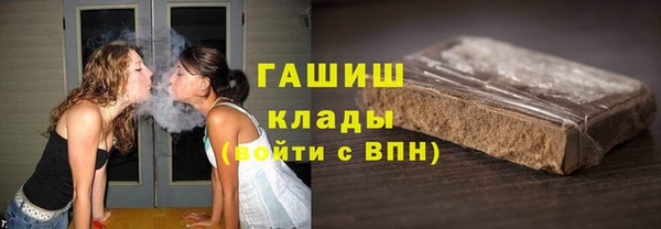 сатива Инсар