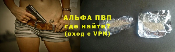 сатива Инсар