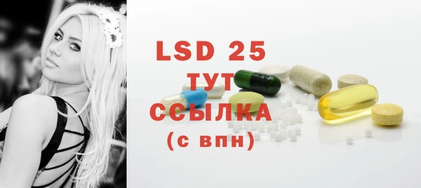 сатива Инсар