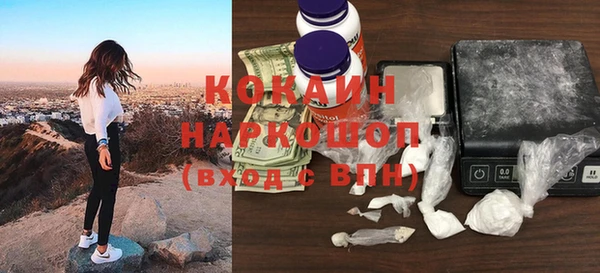 стафф Инта