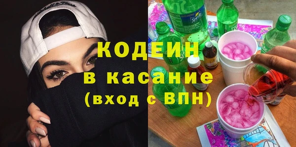 сатива Инсар