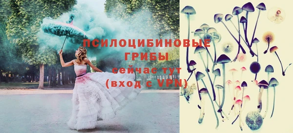 стафф Инта