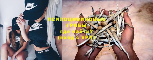 сатива Инсар