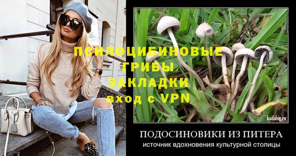 сатива Инсар