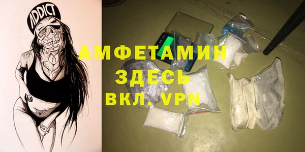 сатива Инсар