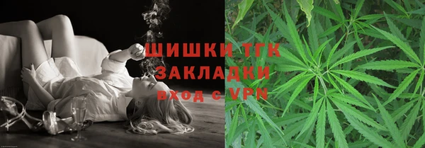 сатива Инсар