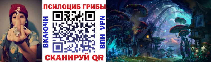 Галлюциногенные грибы мицелий  Купить где  Димитровград 